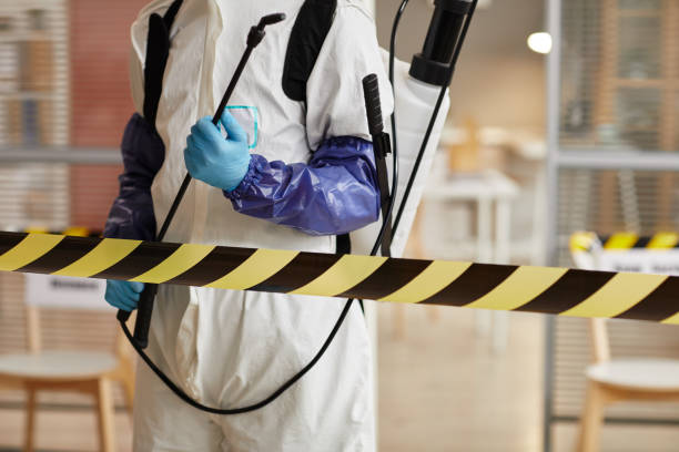 Professional Blood Cleanup technician working in Santa Rosa, TX