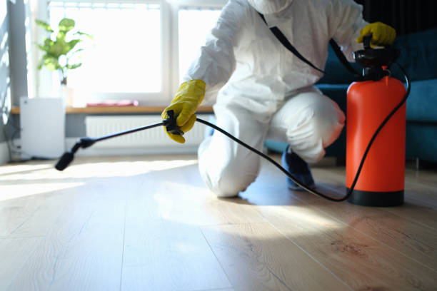 Reliable Blood Cleanup contractor in Santa Rosa, TX by Trauma Clean Pros